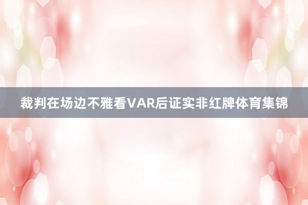 裁判在场边不雅看VAR后证实非红牌体育集锦